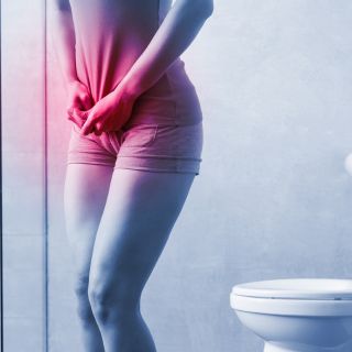 Equilibrio del Sistema Urinario