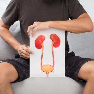 Supporto alla Salute Renale e alla Potenza