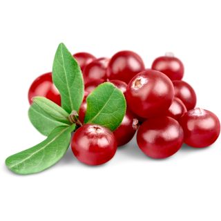 Estratto di Bacche di Mirtillo Rosso (Cranberry berry extract)